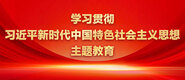 欧美老美女老美BXXⅩ学习贯彻习近平新时代中国特色社会主义思想主题教育_fororder_ad-371X160(2)